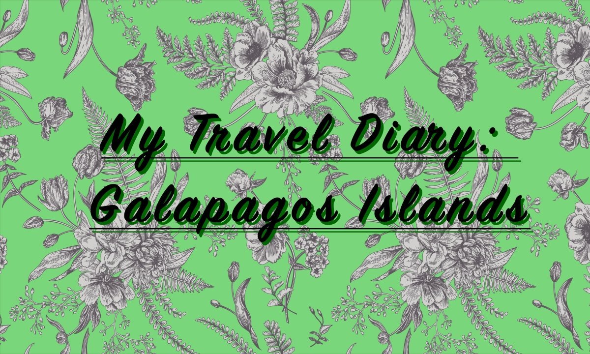 My Travel Diary: Galapagos Islands - Mini Dreamers