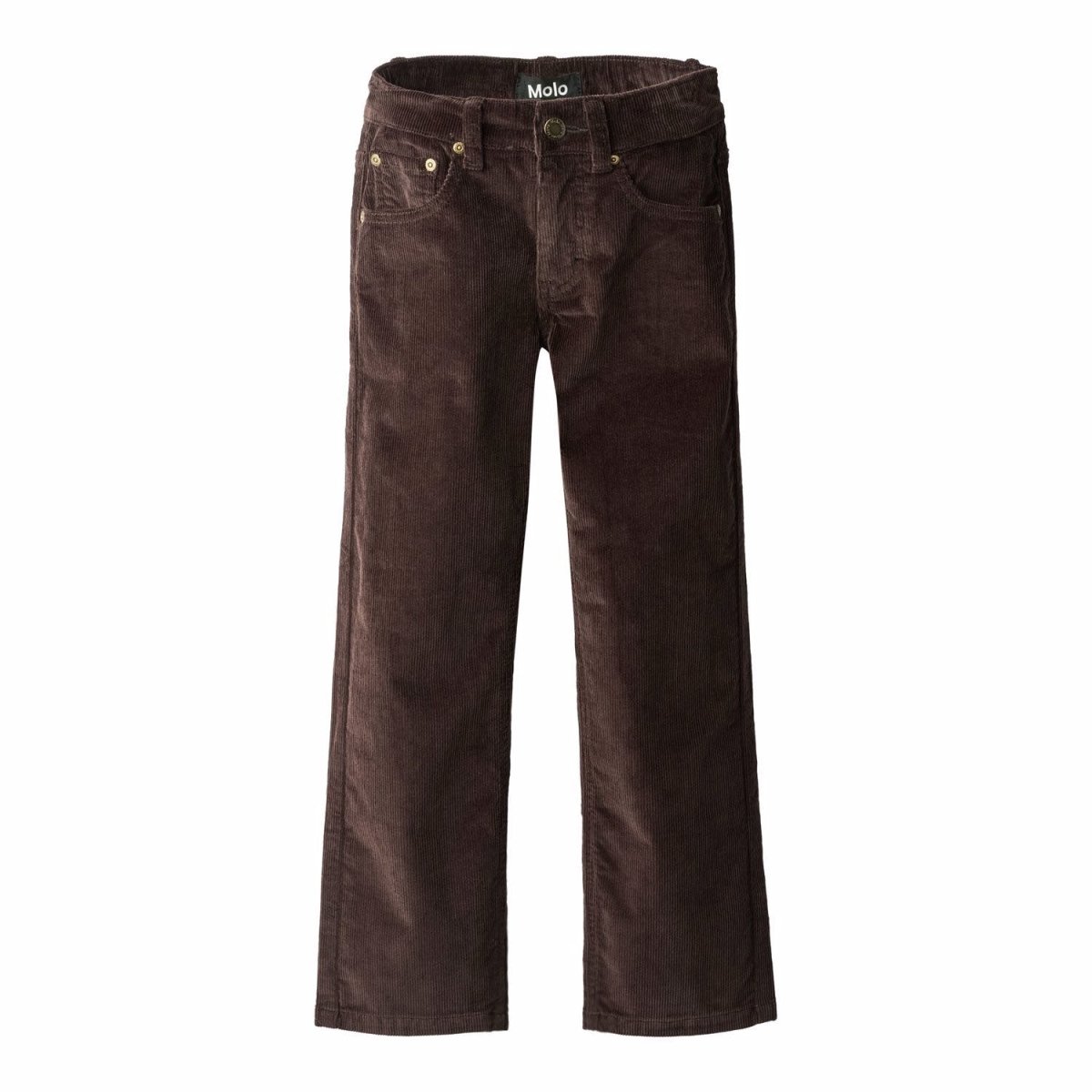 ANDY CORDUROY PANTS - MOLO