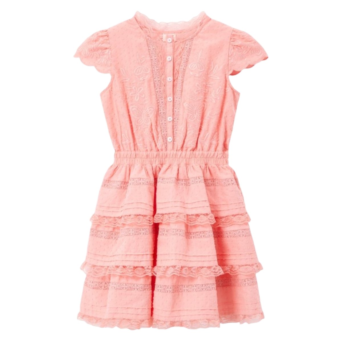 Gina Embroidered Dress with Lace Ruffles