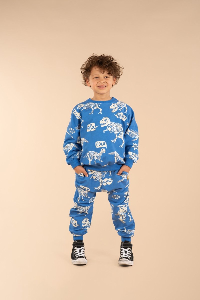 HELLO DINO SWEATSHIRT - SWEATERS