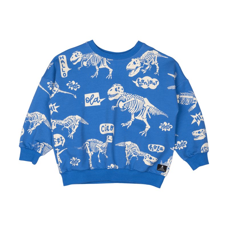 HELLO DINO SWEATSHIRT - SWEATERS