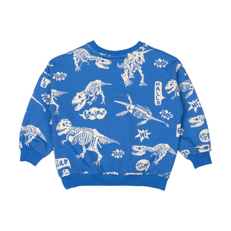 HELLO DINO SWEATSHIRT - SWEATERS