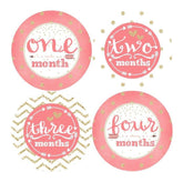 MULTI PATTEREN MONTHLY BABY STICKERS - MONTHLY STICKERS