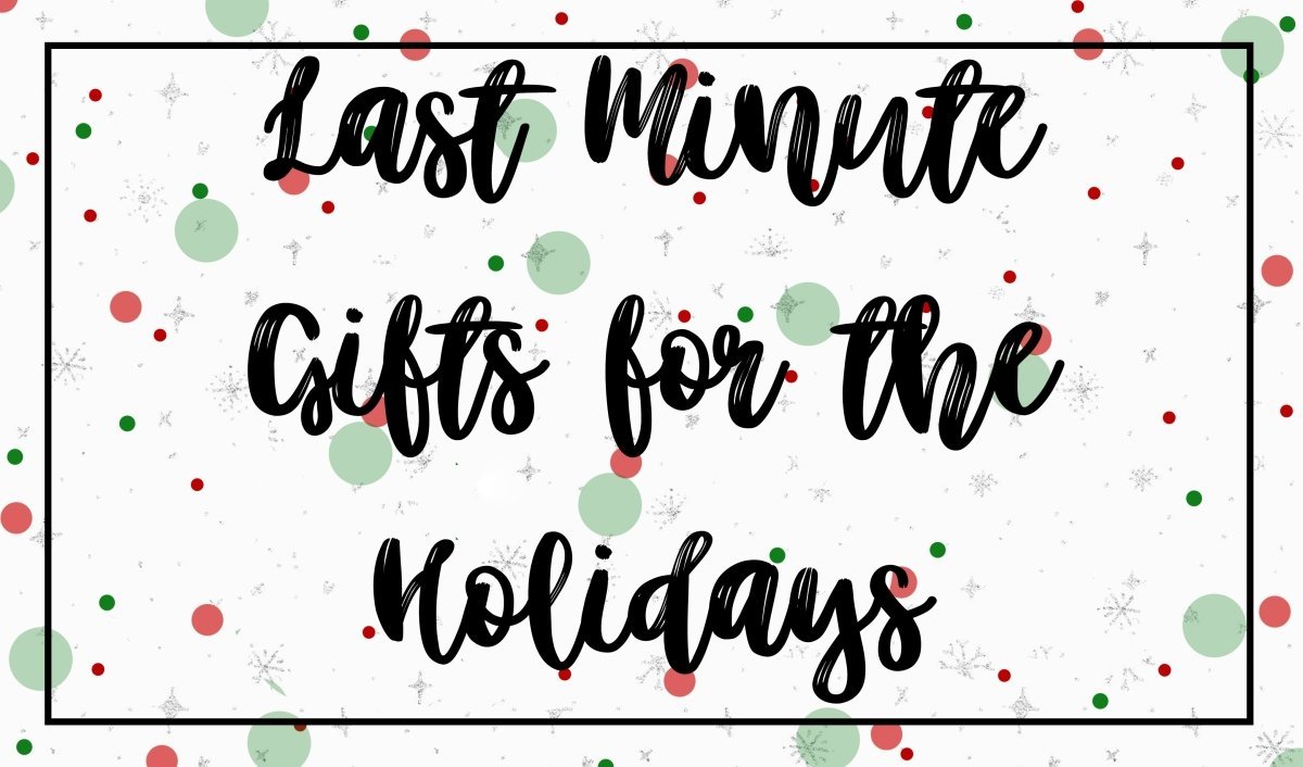 Last Minute Gifts for the Holidays - Mini Dreamers