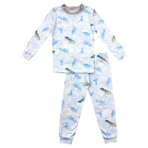 DINO WORLD LONG SLEEVE PJS - PAJAMAS