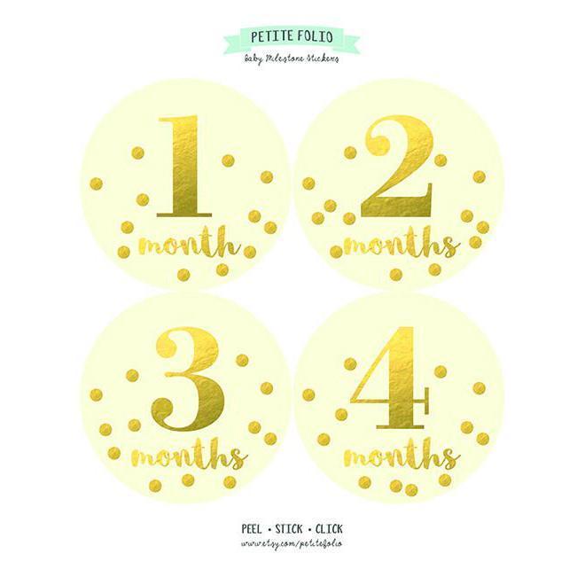CONFETTI BABY MONTHLY STICKER - MONTHLY STICKERS