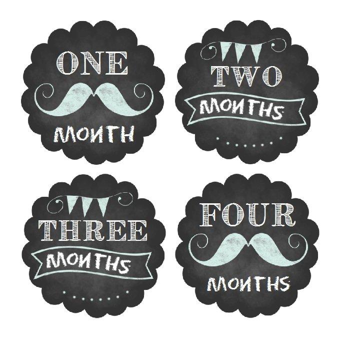 MUSTACHE MONTHLY BABY STICKERS - MONTHLY STICKERS