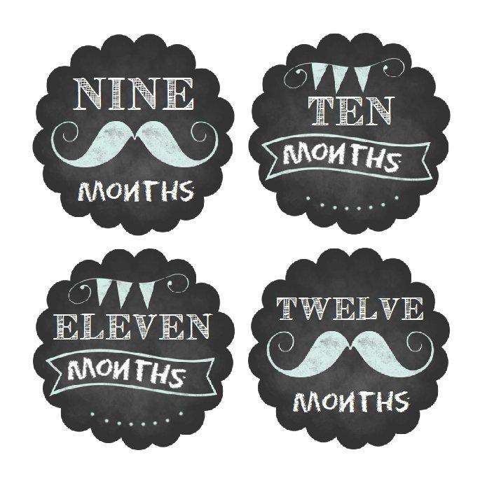 MUSTACHE MONTHLY BABY STICKERS - MONTHLY STICKERS