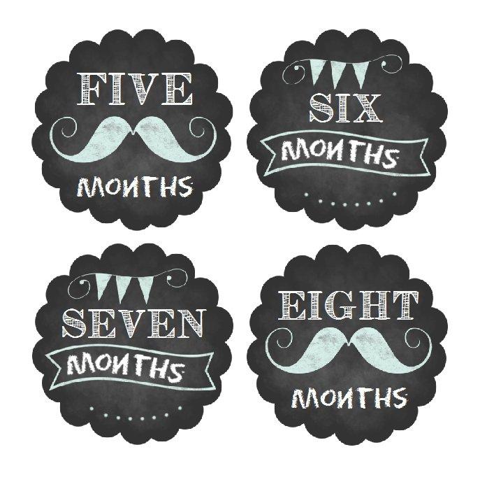 MUSTACHE MONTHLY BABY STICKERS - MONTHLY STICKERS